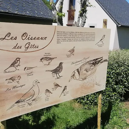 4 Etoiles Nature En Auvergne Puy Mary Cantal Valette